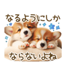ネガティブなコーギーのスタンプ✿.•（個別スタンプ：19）