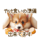 ネガティブなコーギーのスタンプ✿.•（個別スタンプ：24）