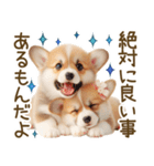 ネガティブなコーギーのスタンプ✿.•（個別スタンプ：30）