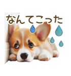 ネガティブなコーギーのスタンプ✿.•（個別スタンプ：33）