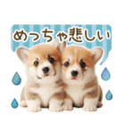 ネガティブなコーギーのスタンプ✿.•（個別スタンプ：34）