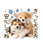 ネガティブなコーギーのスタンプ✿.•（個別スタンプ：35）