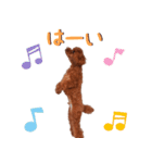 チョコちゃんの可愛いスタンプです！！（個別スタンプ：12）