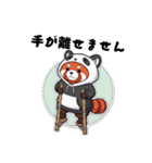 パンダになりたいレッサーパンダ16ver（個別スタンプ：1）