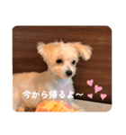 ロコです！！（個別スタンプ：2）