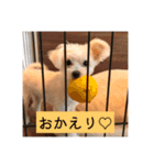 ロコです！！（個別スタンプ：3）