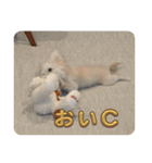 ロコです！！（個別スタンプ：8）