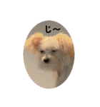ロコです！！（個別スタンプ：10）