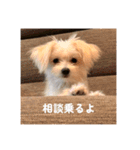 ロコです！！（個別スタンプ：11）