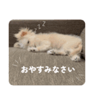 ロコです！！（個別スタンプ：14）