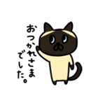 いろんな猫の丁寧挨拶（個別スタンプ：8）