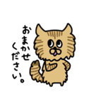いろんな猫の丁寧挨拶（個別スタンプ：13）