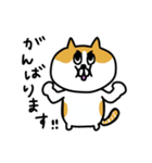 いろんな猫の丁寧挨拶（個別スタンプ：15）