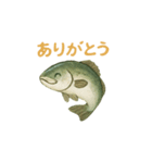 ギョギョギョの日常（個別スタンプ：4）