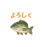 ギョギョギョの日常（個別スタンプ：5）