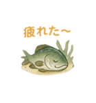 ギョギョギョの日常（個別スタンプ：8）