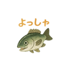 ギョギョギョの日常（個別スタンプ：16）