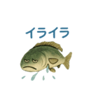 ギョギョギョの日常（個別スタンプ：19）