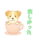 カップから犬2（日常）（個別スタンプ：5）