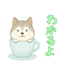 カップから犬2（日常）（個別スタンプ：12）