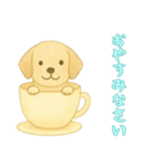 [おやすみなさい専用]カップからイヌ（個別スタンプ：12）