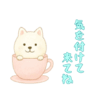 [気を付けて来てね専用]カップからイヌ（個別スタンプ：1）