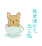 [気を付けて来てね専用]カップからイヌ（個別スタンプ：2）