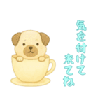 [気を付けて来てね専用]カップからイヌ（個別スタンプ：4）