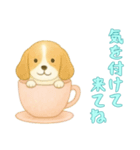 [気を付けて来てね専用]カップからイヌ（個別スタンプ：7）