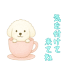 [気を付けて来てね専用]カップからイヌ（個別スタンプ：8）