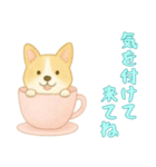 [気を付けて来てね専用]カップからイヌ（個別スタンプ：13）