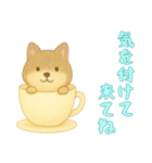 [気を付けて来てね専用]カップからイヌ（個別スタンプ：14）