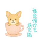[気を付けて来てね専用]カップからイヌ（個別スタンプ：15）