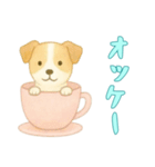 [オッケー専用]カップからイヌ（個別スタンプ：5）