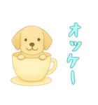 [オッケー専用]カップからイヌ（個別スタンプ：7）