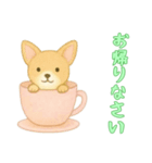 [お帰りなさい専用]カップからイヌ（個別スタンプ：1）