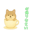 [お帰りなさい専用]カップからイヌ（個別スタンプ：3）