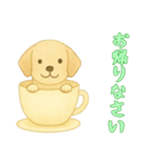 [お帰りなさい専用]カップからイヌ（個別スタンプ：6）
