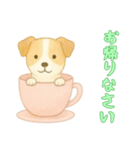 [お帰りなさい専用]カップからイヌ（個別スタンプ：8）