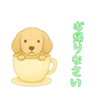 [お帰りなさい専用]カップからイヌ（個別スタンプ：11）