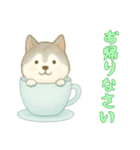 [お帰りなさい専用]カップからイヌ（個別スタンプ：13）