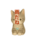 小太郎君5（個別スタンプ：31）
