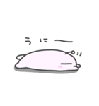 うにうにのごあいさつ3（個別スタンプ：1）