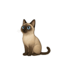 シャム猫（シャムねこ）（個別スタンプ：6）