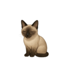 シャム猫（シャムねこ）（個別スタンプ：10）