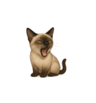 シャム猫（シャムねこ）（個別スタンプ：15）