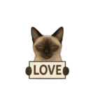 シャム猫（シャムねこ）（個別スタンプ：20）