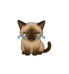 シャム猫（シャムねこ）（個別スタンプ：27）