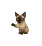 シャム猫（シャムねこ）（個別スタンプ：31）