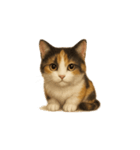 三毛猫（みけねこ / Mike-neko）（個別スタンプ：1）
